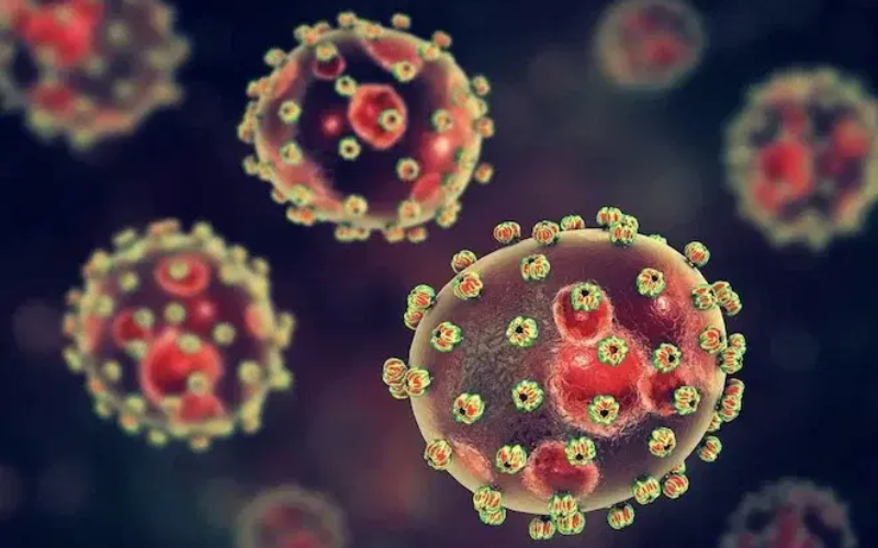 Lassa fever deaths hit 258 as CFR rises to 24%