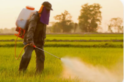 Nigeria ranks 2nd in acute pesticide poisoning in West Africa — Study