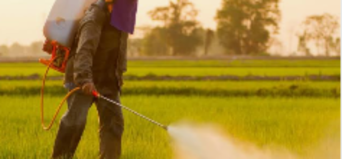 Nigeria ranks 2nd in acute pesticide poisoning in West Africa — Study