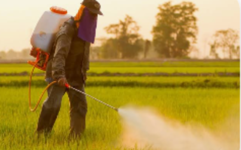 Nigeria ranks 2nd in acute pesticide poisoning in West Africa — Study