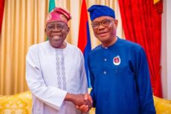 Tinubu’s Re-election: APC blocs rise against Wike’s Rainbow Coalition