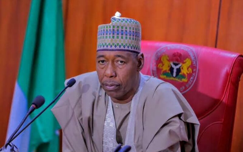Borno gov Zulum suspends Mallam-Fatori village, ward heads